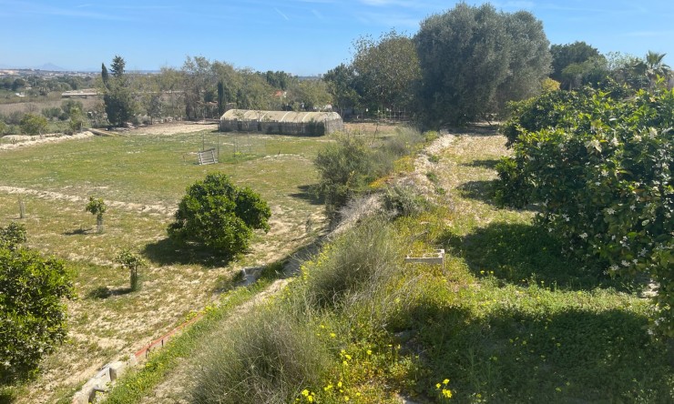 Wederverkoop - Landgoed - Rojales - Rojales - Veld