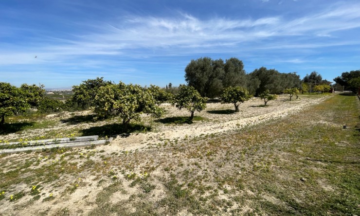 Wederverkoop - Landgoed - Rojales - Rojales - Veld