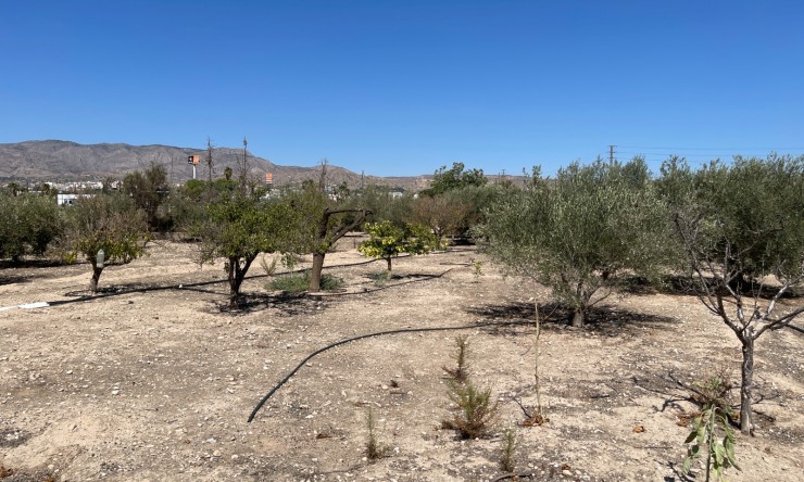 Re-Sale - Country Property - Crevillente - Crevillente - Country