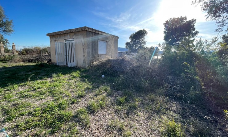 La Revente - Maison de Campagne - Aspe
