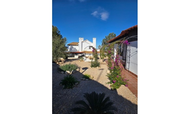 Reventa - Chalet - Fuente Alamo - Las Palas