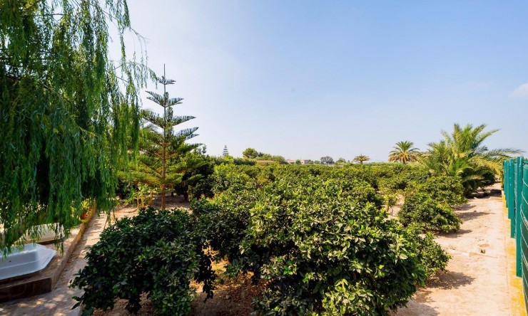 Reventa - Casa de Campo - Almoradi - Almoradi - Campo