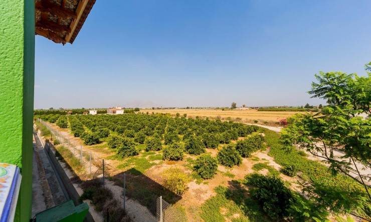 Reventa - Casa de Campo - Almoradi - Almoradi - Campo