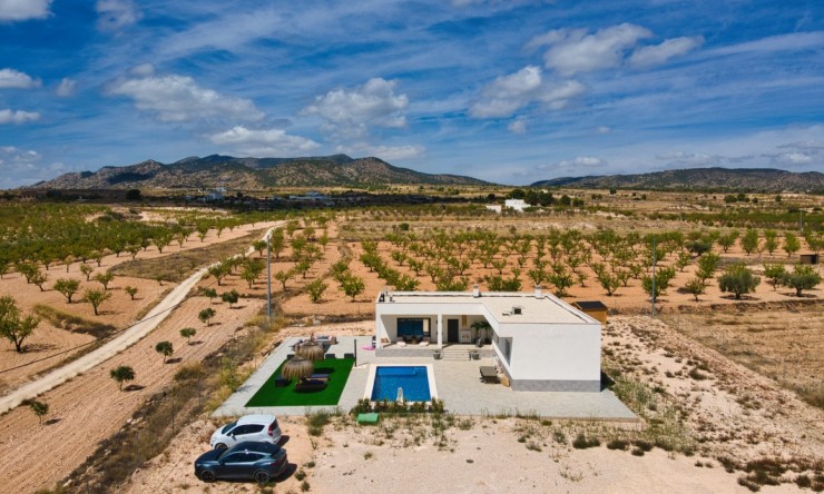 Reventa - Casa de Campo - Pinoso - Pinoso - Campo