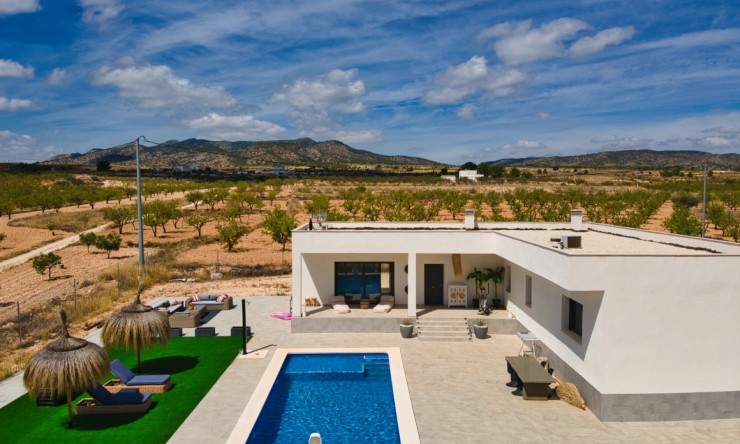 Reventa - Casa de Campo - Pinoso - Pinoso - Campo