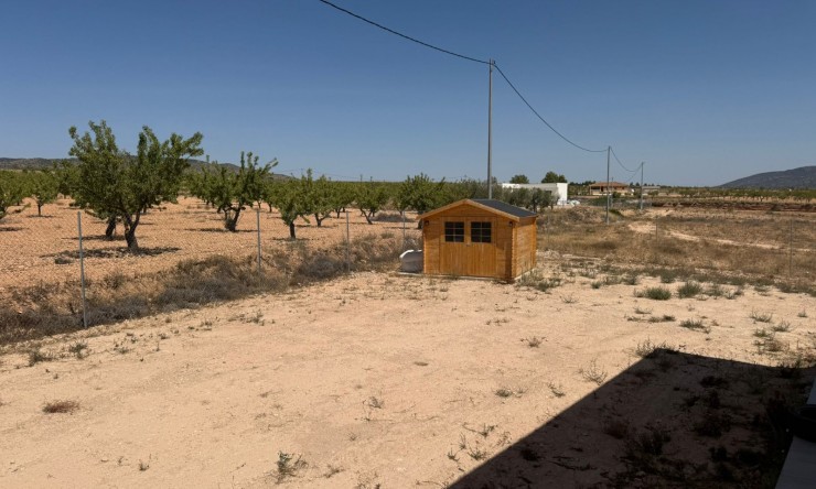 Reventa - Casa de Campo - Pinoso - Pinoso - Campo