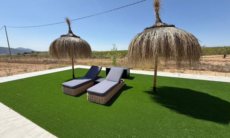 Reventa - Casa de Campo - Pinoso - Pinoso - Campo