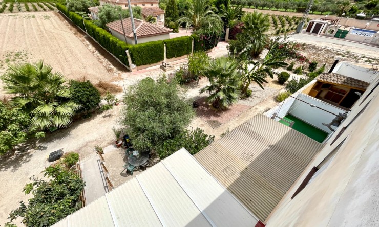 Re-Sale - Apartment - Daya Nueva - Daya Nueva - Town