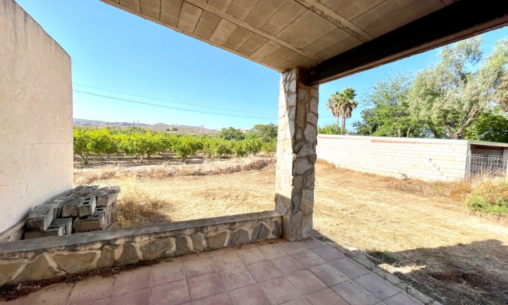 Videresalg - Land Eiendom - Elche - Matola