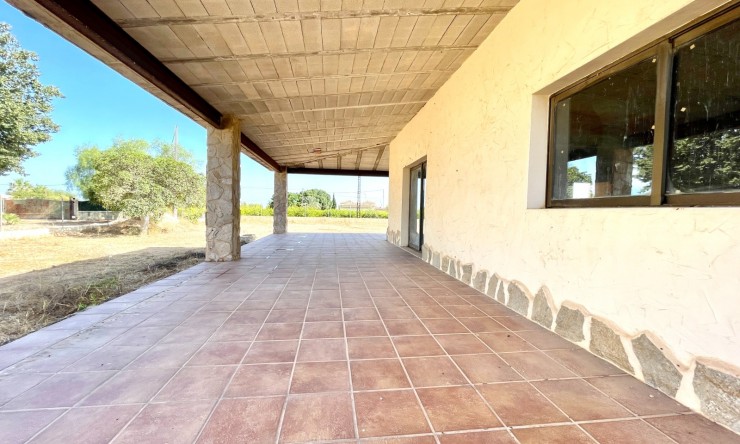 Videresalg - Land Eiendom - Elche - Matola