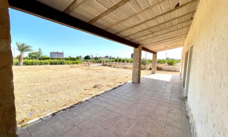 Videresalg - Land Eiendom - Elche - Matola