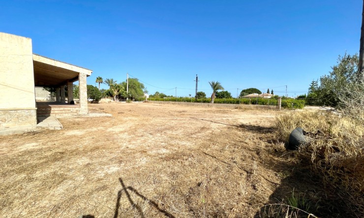 Videresalg - Land Eiendom - Elche - Matola
