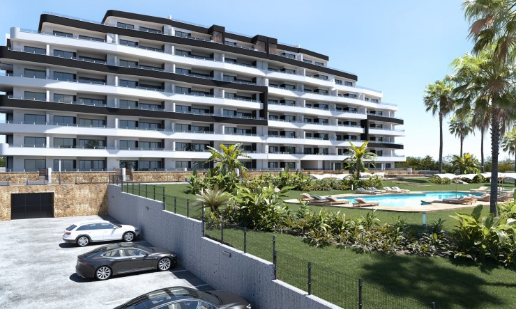 Nouveau - Appartement - San Miguel de Salinas - San Miguel - Ville