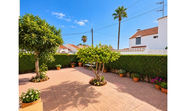 Reventa - Adosado - Torrevieja - Torrevieja - Centro