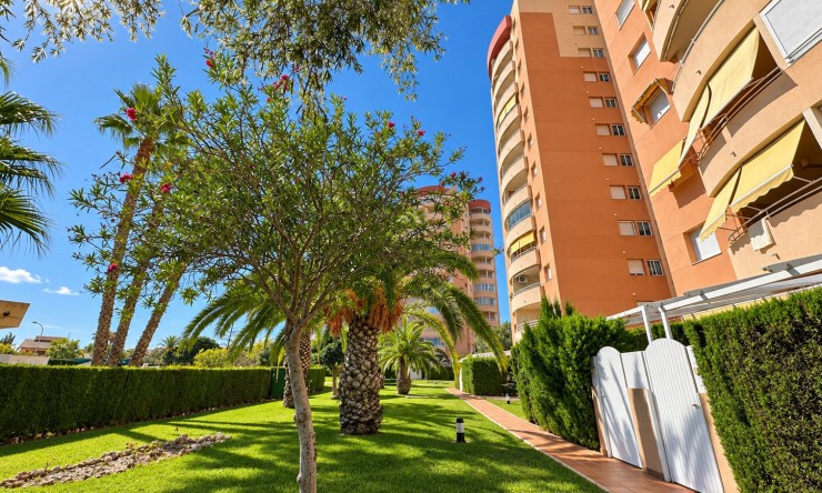 Wederverkoop - Appartement - Orihuela Costa - Dehesa de Campoamor