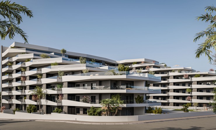 Nueva - Apartamento - San Miguel de Salinas - San Miguel - Pueblo