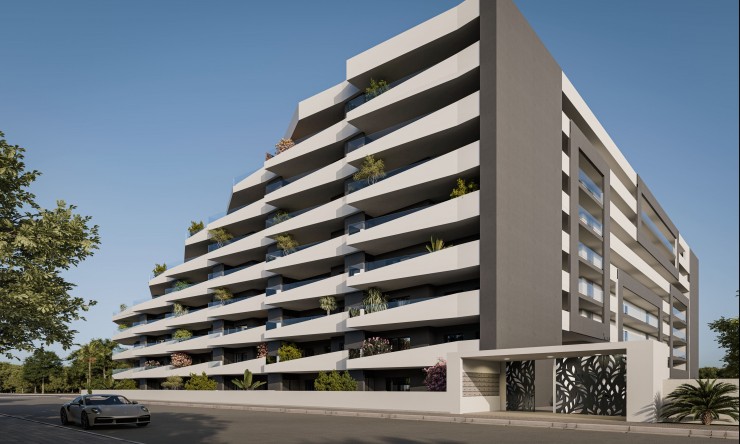 Nueva - Apartamento - San Miguel de Salinas - San Miguel - Pueblo