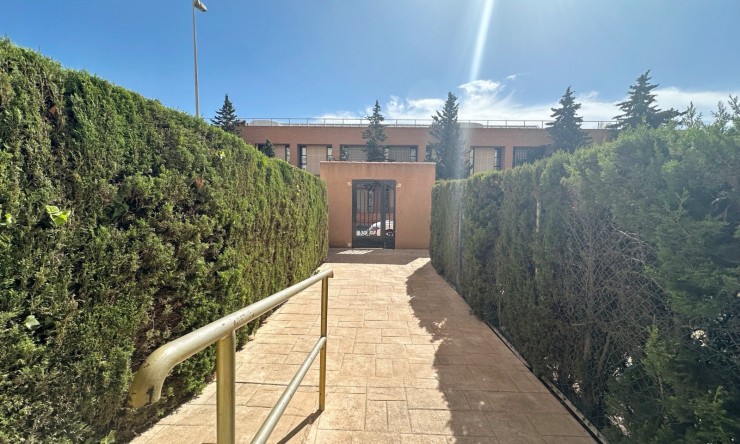 Videresalg - Leilighet - Torrevieja - Torrevieja - Centre