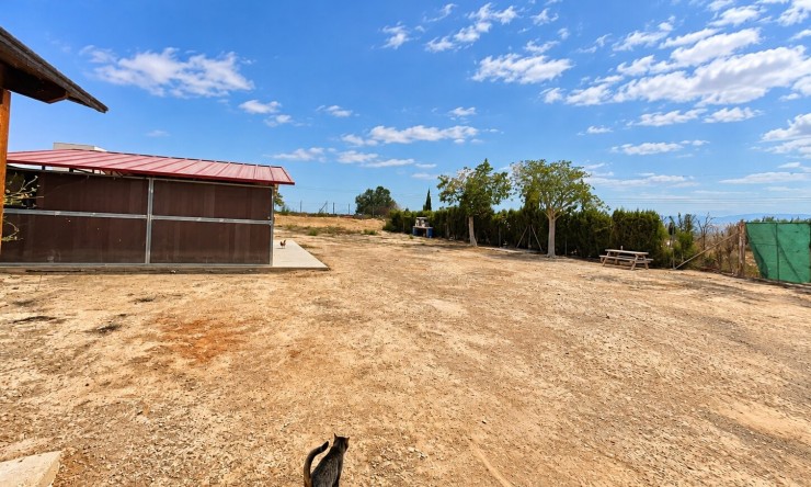 Re-Sale - Country Property - San Fulgencio - San Fulgencio - Country