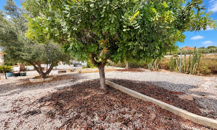 Re-Sale - Country Property - San Fulgencio - San Fulgencio - Country
