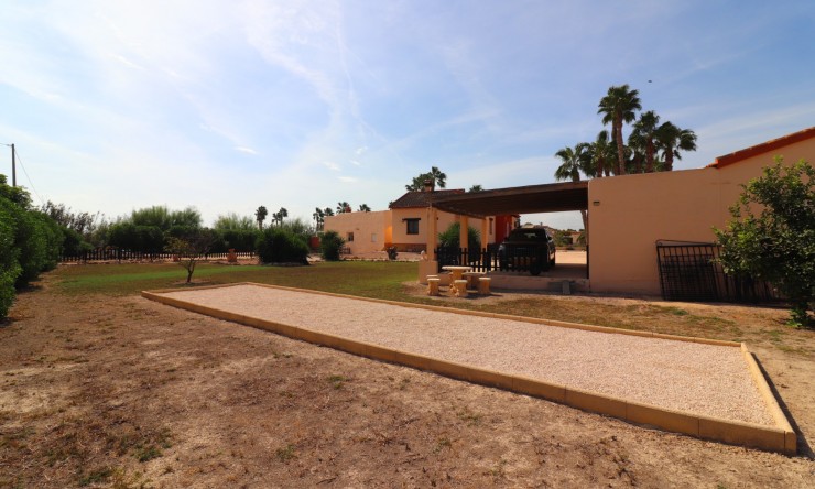 Reventa - Casa de Campo - Daya Vieja - Daya Vieja - Campo