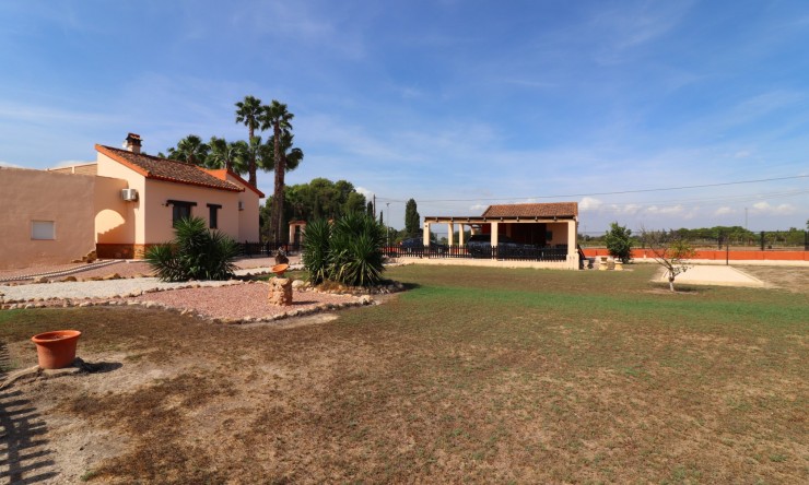 Reventa - Casa de Campo - Daya Vieja - Daya Vieja - Campo