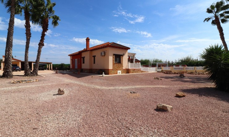 Reventa - Casa de Campo - Daya Vieja - Daya Vieja - Campo