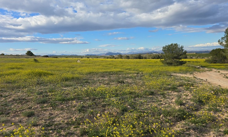 Reventa - Apartamento - Orihuela Costa - Villamartin