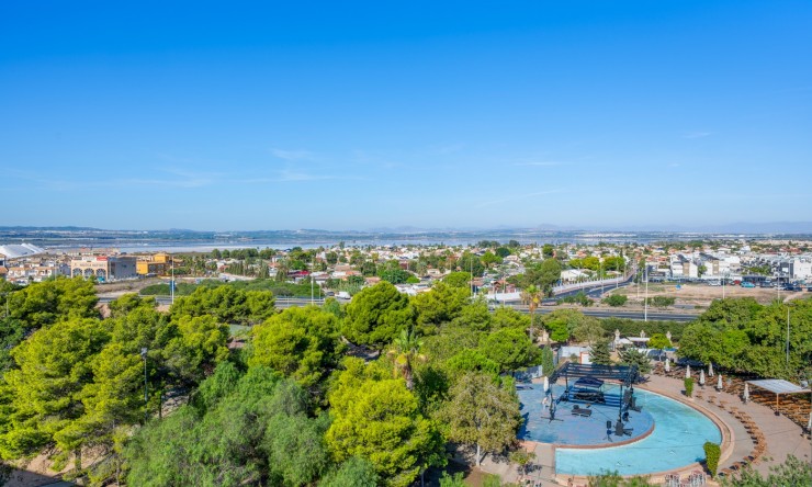 Re-Sale - Apartment - Torrevieja - Torrevieja - Centre