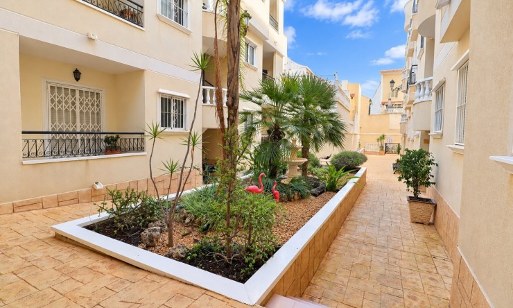 Huur - Duplex - Jacarilla - Jacarilla - Stad