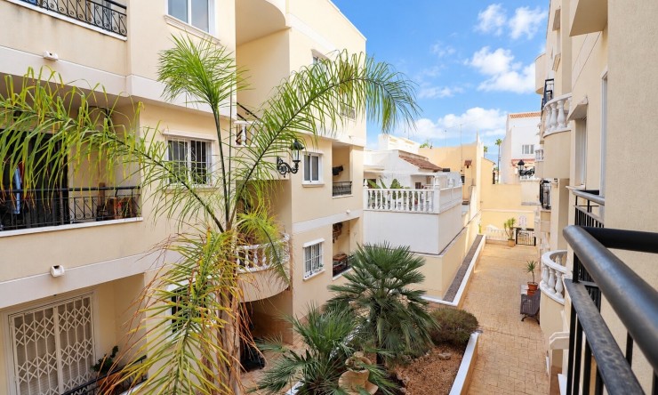 Huur - Duplex - Jacarilla - Jacarilla - Stad