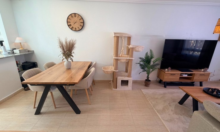 Re-Sale - Semi Detached Villa - Los Montesinos - Montesol Villas