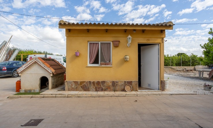 Reventa - Casa de Campo - Elche - Elche - La Hoya