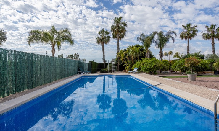 Reventa - Casa de Campo - Elche - Elche - La Hoya
