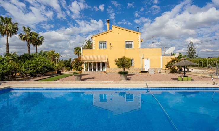 Reventa - Casa de Campo - Elche - Elche - La Hoya