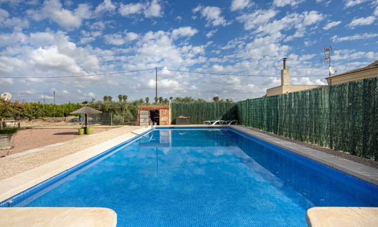 Reventa - Casa de Campo - Elche - Elche - La Hoya