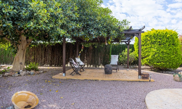 Reventa - Casa de Campo - Elche - Elche - La Hoya