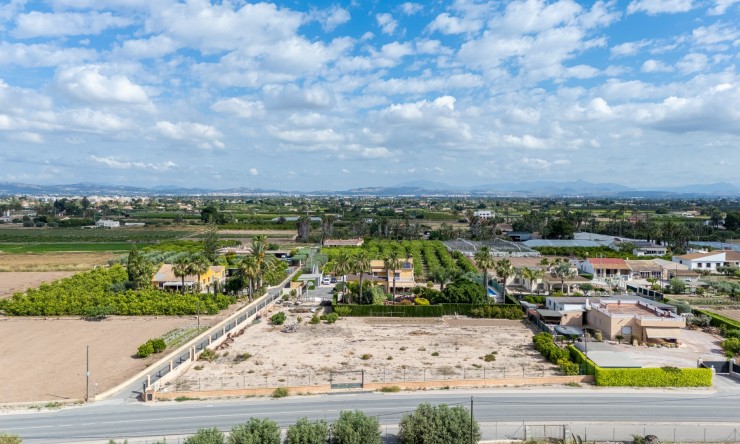 Reventa - Casa de Campo - Elche - Elche - La Hoya
