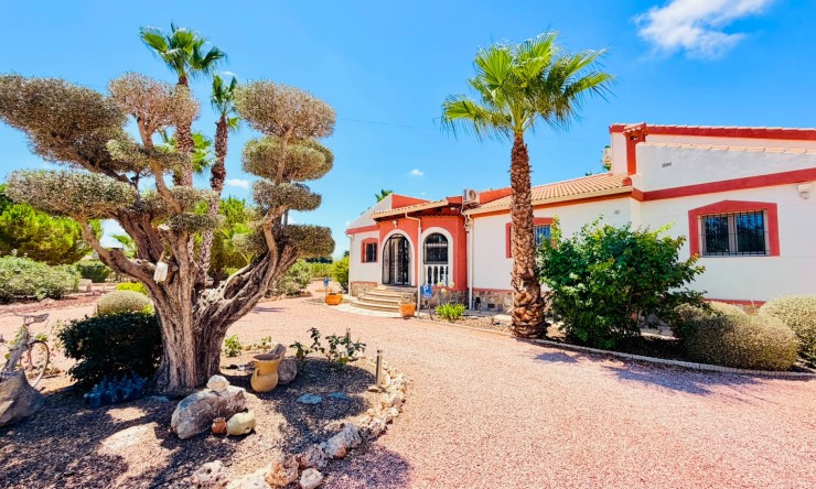 Reventa - Casa de Campo - Daya Vieja - Daya Vieja - Campo
