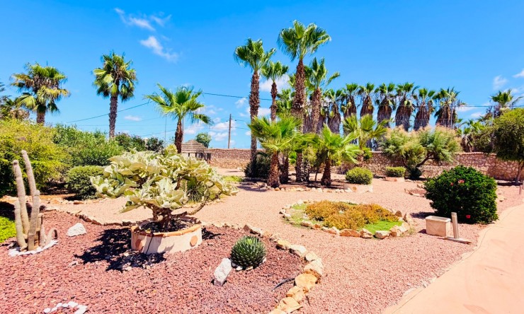 Reventa - Casa de Campo - Daya Vieja - Daya Vieja - Campo