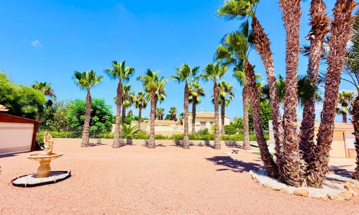 Reventa - Casa de Campo - Daya Vieja - Daya Vieja - Campo