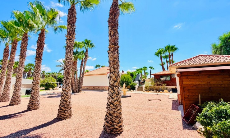 Reventa - Casa de Campo - Daya Vieja - Daya Vieja - Campo
