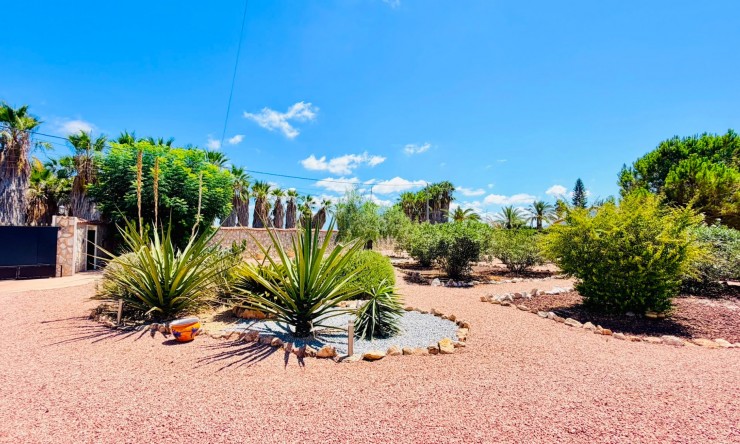 Reventa - Casa de Campo - Daya Vieja - Daya Vieja - Campo