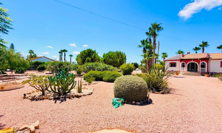 Reventa - Casa de Campo - Daya Vieja - Daya Vieja - Campo