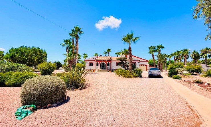 Reventa - Casa de Campo - Daya Vieja - Daya Vieja - Campo