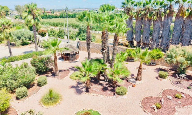 Reventa - Casa de Campo - Daya Vieja - Daya Vieja - Campo