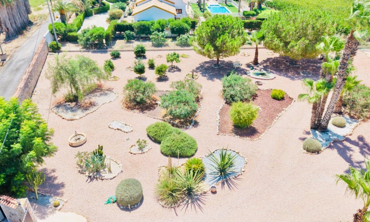 Reventa - Casa de Campo - Daya Vieja - Daya Vieja - Campo