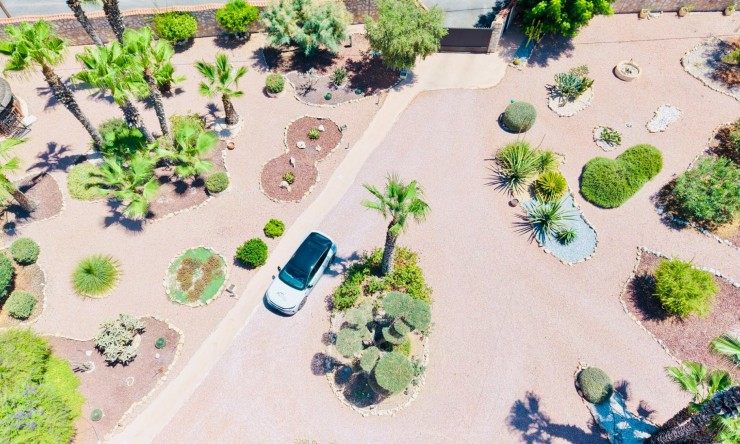 Reventa - Casa de Campo - Daya Vieja - Daya Vieja - Campo