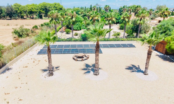 Reventa - Casa de Campo - Daya Vieja - Daya Vieja - Campo
