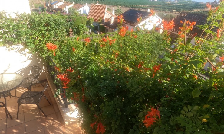 Wederverkoop - Bungalow - Algorfa - La Finca Golf Resort